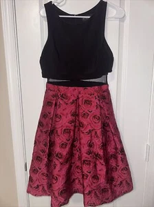 Betsy & Adam Damen schwarz und rot Blumen Rock Fit & Flare Kleid Größe 6 - Bild 1 von 9