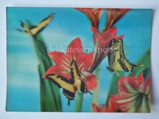 LENTICULAR 3D Italian ROTALFOTO vintage post card FARFALLA BUTTERFLY *