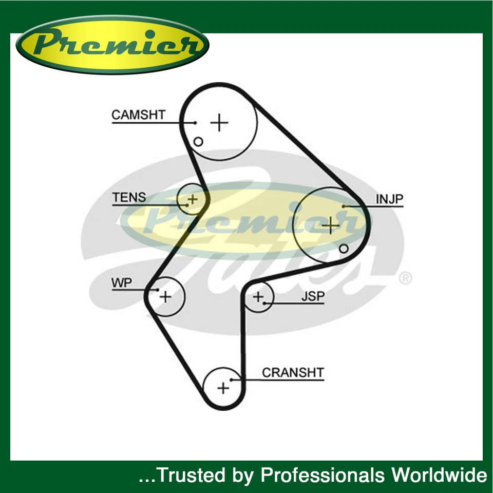 Cinturón de cámara de sincronización Premier se adapta a Peugeot 406 Citroen XM 2.1 2.1 TD + otros modelos Foto 1 de 1