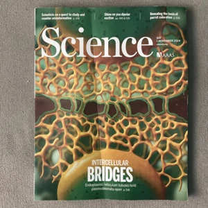 AAAS Science Magazine Vol 385 No 6721  1 November 2024 Intercellular Bridges - Imagen 1 de 1