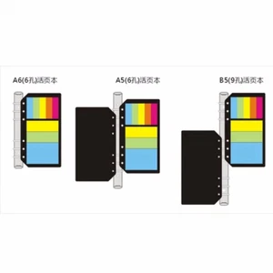 2025 A5/A6 Personal Sticky Notes Assorted Diary Insert Refill Organiser Sticker - Picture 1 of 6