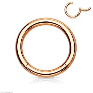 Segment Hinged Captive Nipple Ring 14 Gauge 1/2" Rose Gold IP SET of 2 - Picture 1 of 3