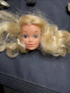 Barbie Años 70 De Colección Muñeca PJ Movimiento Libre Solo Cabeza Ojos Marrones Cabello Rubio - Imagen 1 de 7