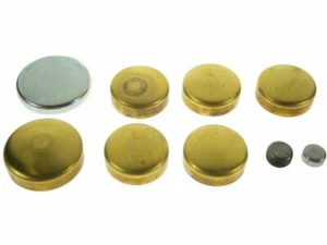 For 1978-1980 Oldsmobile Starfire Expansion Plug Kit 28934DZ 1979 Stock -- Brass - Picture 1 of 2