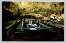 New Mexico Carlsbad Caverns Lunch Room NM Postcard