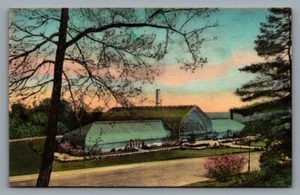 Postkarte Eden Park Conservatory, Cincinnati, Ohio OH Albertype handkoloriert - Bild 1 von 2