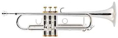 Lechgold Tromba Jazz in Sib Ottone Argentata 3 Pistoni Set Bocchino Valigetta - Immagine 1 di 4