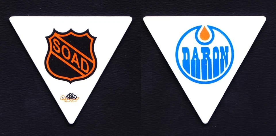 System of a Down Daron Malakian NHL Triangle Guitar Pick - 2011 Tour SOAD - Image 1 of 1