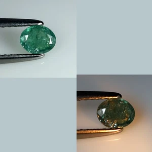 0.34 ct Oval (4.99 x 4.00 mm) Green Natural Unheated Alexandrite Gemstone - Picture 1 of 4