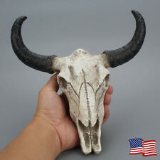 Cow Skull For Sale Ebay