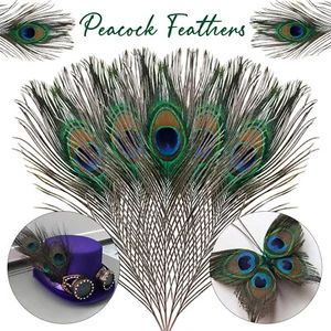 10-100 un. Plumas naturales de cola de pavo real para ramo hágalo usted mismo decoración elegante del hogar - Imagen 1 de 18