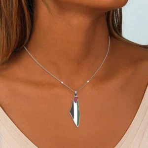 Collana Ciondolo Mappa Bandiera Palestina Israele 60cm Catena Acciaio Inox Uomo Bella - Foto 1 di 17