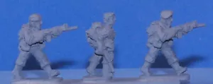PIG010018 - AUSTRALIAN SAS - Bild 1 von 1