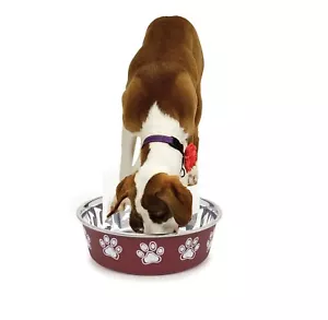 Cuenco de acero inoxidable para perros antideslizante fondo divertido estampado Merlot plato duradero 4 tamaños - Imagen 1 de 25