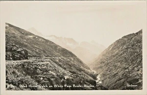 1930-40s Dead Horse Gulch Alaska Vintage Real Photo Postcard Dedman D-36 - Picture 1 of 2