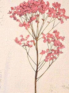 Floral Mixed Media Transfer & Acrylic Painting on Canvas 8 x 10 x 1.25 deep - Picture 1 of 4