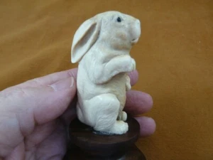 bun-7 lil white Bunny Rabbit hare of shed ANTLER figurine Bali detailed carving - Picture 1 of 5