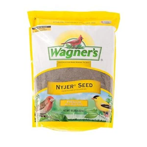 62050 Nyjer Seed Wild Bird Food, 10-Pound Bag - Picture 1 of 8