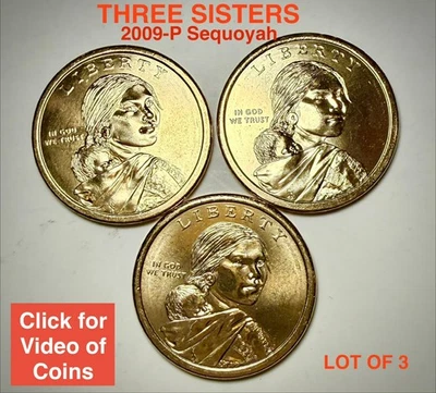 Monedas de $1 de nativos americanos Sacagawea 2009-P sin circular de rollo como nuevo B/U Foto 1 de 2