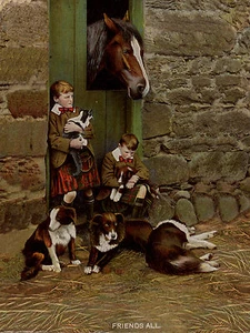BORDER COLLIE SCOTTISH BOYS HORSE AND DOGS RURAL SETTING DOG GREETINGS NOTE CARD - Picture 1 of 1