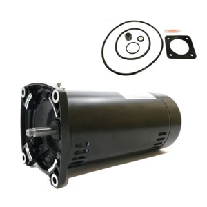 Kit Motore Puri Tech Repl Sta-Rite Dura-Glas 1HP P2RA5E-181L USQ1102 con GO-KIT-6 - Foto 1 di 1