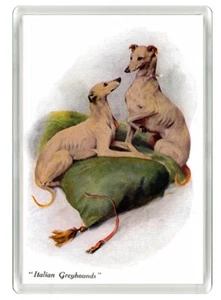 ITALIAN GREYHOUND BEAUTIFUL DOG ART PRINT NOVELTY FRIDGE MAGNET GREAT GIFT - Foto 1 di 1