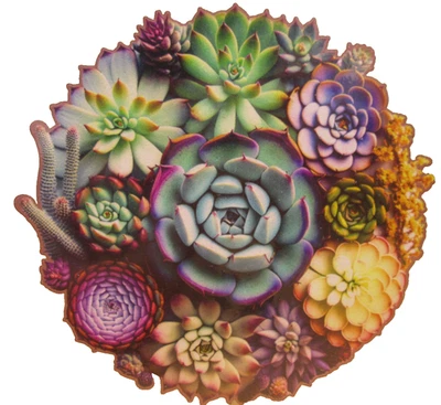 Wooden Jigsaw Puzzle SUCCULENT WORLD 300 Pieces 12.6" x 12.1" Cactus - Image 1 of 3