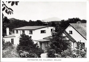 WHITEGATES INN, KILLARNEY, IRLANDA cartolina continentale d'epoca CON13 - Foto 1 di 2