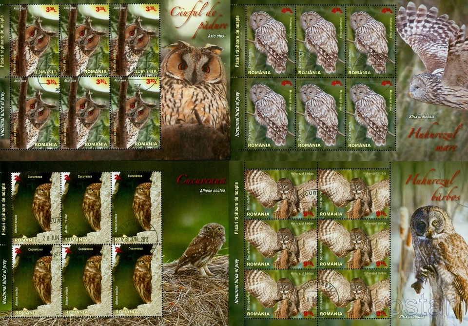 2013 Owls,Great Grey Owl,Long-eared owl,Little owl,Eulen,Romania,6721,MS/KB,VFU - Image 1 of 1