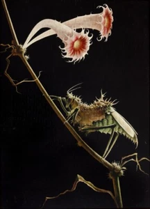Insect with Bloom by Franz Sedlacek – Surrealist Nature Painting Art Print - Picture 1 of 2