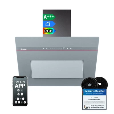 Campana extractora 60 cm recirculación aire de escape sin cabeza campana de pared campana inclinada gris WLAN - Imagen 1 de 4