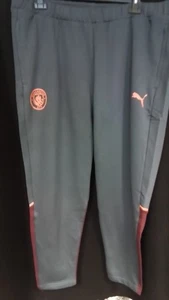 BNWT Puma Man City Pre Match Sweatpants#3111 - Picture 1 of 5