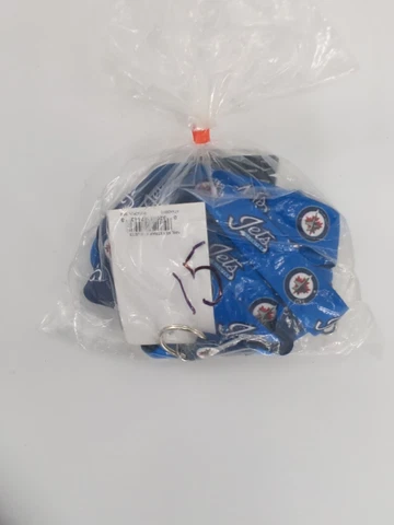 NHL Hockey Winnepeg Jets Lanyard Key Strap 1" Blue Keychain  , Lot of 12 Cover