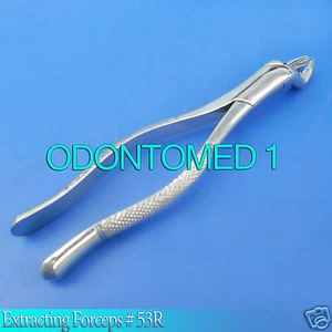 Pinzas de extracción dental de cirugía dental ODM PEDO # 53R - Imagen 1 de 3