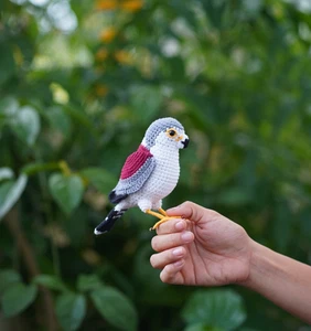 Crochet African Pygmy Falcon: Amigurumi Bird Plush, Handmade Raptor Decor - Picture 1 of 3
