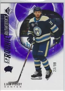 SELTEN! Nick Foudy 2020-21 UD SP ROOKIE AUTHENTISCH LILA PARALLEL #23/99 - Bild 1 von 2