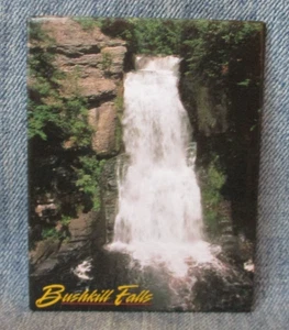 Main Falls Bushkill Falls Pennsylvania Magnet Souvenir Refrigerator MB25 - Picture 1 of 3