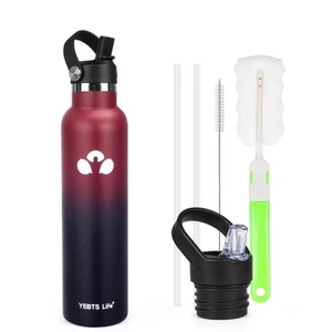 24 oz Insulated Water Bottle with Straw, Stainless Steel Water Bottles with 2... - Picture 1 of 6