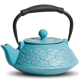 Cast Iron Teapot, Japanese Tea Pot with Infuser for Loose Leaf, Tea Kettle St... - Picture 1 of 6