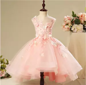 Vestito principessa sfilata bambina 3-4 anni bambina rosa farfalla senza maniche formale - Foto 1 di 4