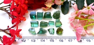 47 Cts Beautiful Green Colors Tourmaline Clean Rough Faceted Grade Excellent Qty - Picture 1 of 7