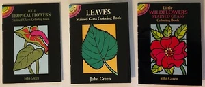 Posten 3 John Green Buntglas Malbücher: Wildblumen, Blätter, tropisch - Bild 1 von 3