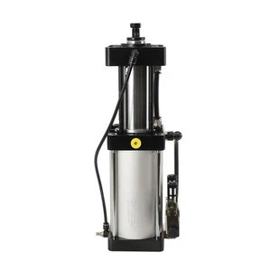 Cilindro neumático de presión de aumento de aire 3500 kg 13 mm carrera 5 ~ 6 kg / cm² 3500 kg - Imagen 1 de 12
