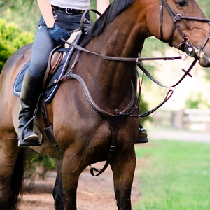 Lumiere ANKA Brown Leather Breastplate with Martingale Rings - Cob Size RRP 240 - Picture 1 of 11
