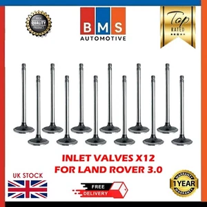 JUEGO DE 12 PIEZAS VÁLVULA DE ESCAPE DIÉSEL LR JAGUAR RANGE ROVER III (L322) 306DT TDV6 3.0 - Imagen 1 de 8