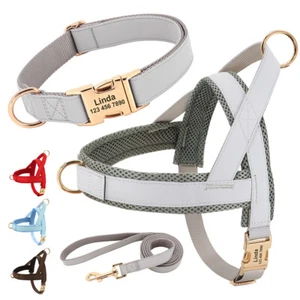 Personalised Dog Harness & Collar and Lead Set Nylon & Leather Adjustable XS-XL - Picture 1 of 28