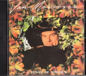 LONG OOP VAN MORRISON A SENSE OF WONDER 1984 CD TORN DOWN A LA RIMBAUD EX/EX - Bild 1 von 17