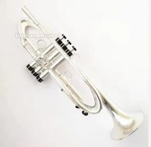 Latest Aerodynamics Heavy Trumpet Brushed silver professional Horn W/luxur case - Picture 1 of 4