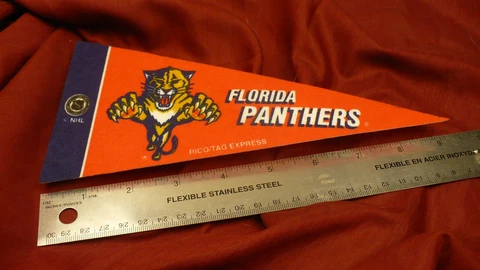 NHL hockey Florida Panthers pennant mini felt team logo 4" X 9" Cover