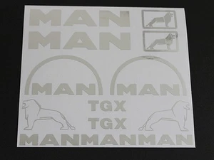 Tamiya 1/14 Truck Trailer Sticker Set Metallic Finish Multiple Colors Used - Picture 1 of 3